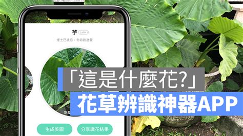 這是什麼花app|形色：一秒辨識四千種花草植物，最聰明又有詩意的賞花 App